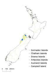Sticherus urceolatus distribution map based on databased records at AK, CHR and WELT.
 Image: K. Boardman © Landcare Research 2015 CC BY 3.0 NZ